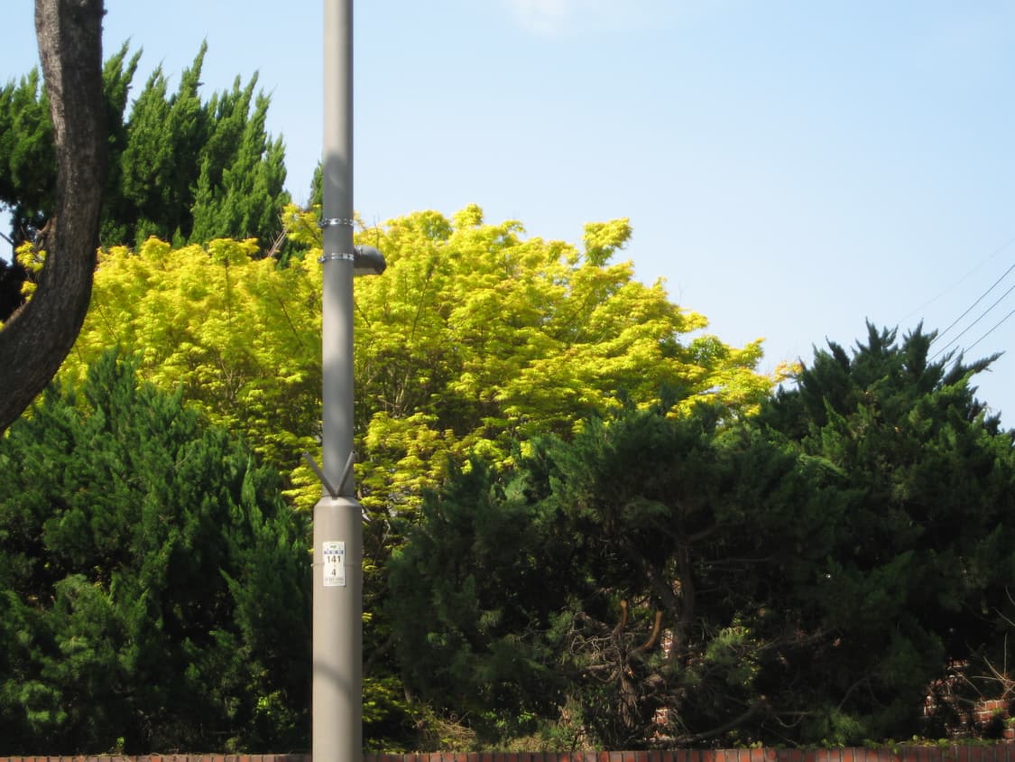 준 미품 원희 디카 익서스 750=익시 700 작례o 상품이미지4