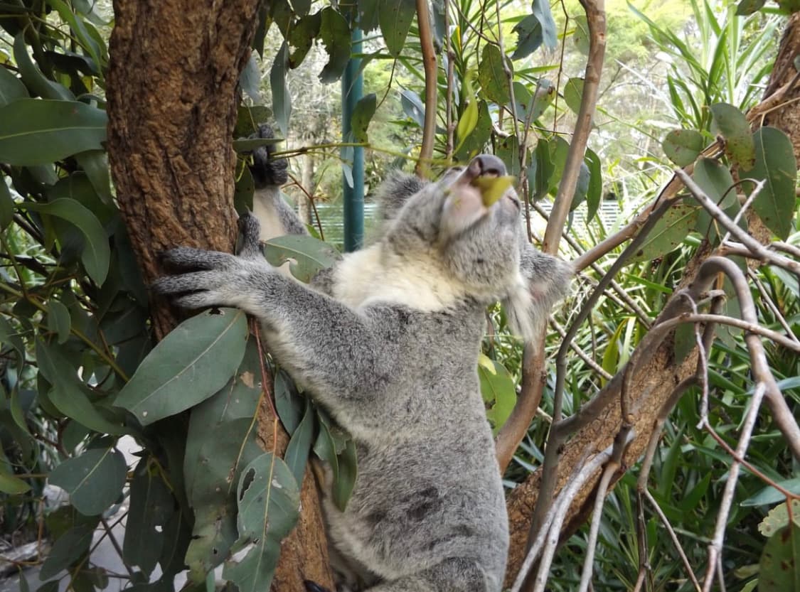 후지필름 파인픽스 s8600 디지털카메라 상품이미지8