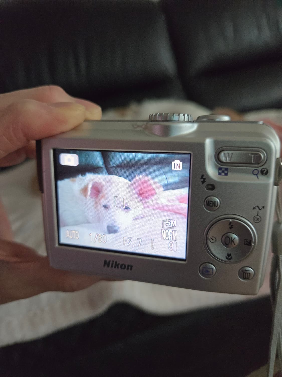 니콘 쿨픽스 P2  상품이미지4