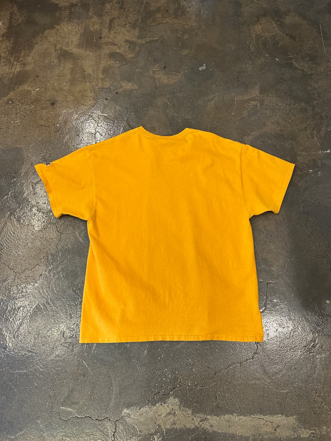 Champion 챔피온 프린팅 반팔티 XL 상품이미지2