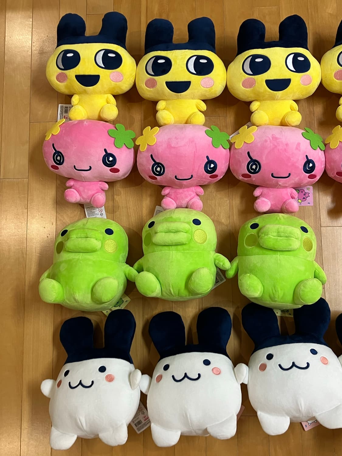 다마고치 25cm 4ae set 상품이미지1