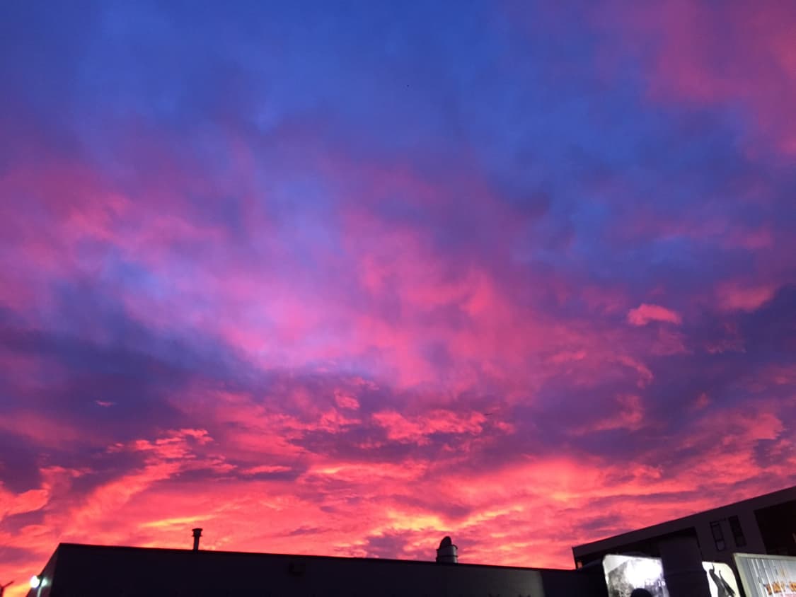 결제창 상품이미지1