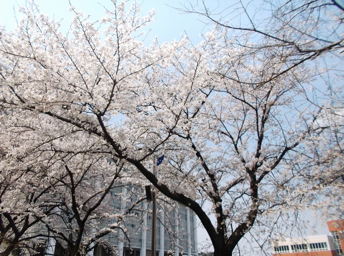 후지필름 파인픽스 finepix jx700 상품이미지10