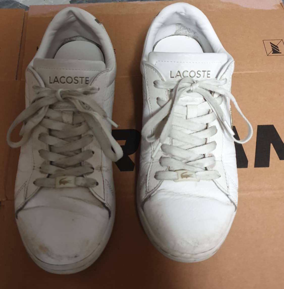 라코스테 카나비 에보 레더 스니커즈 플래티넘 (260) 상품이미지3
