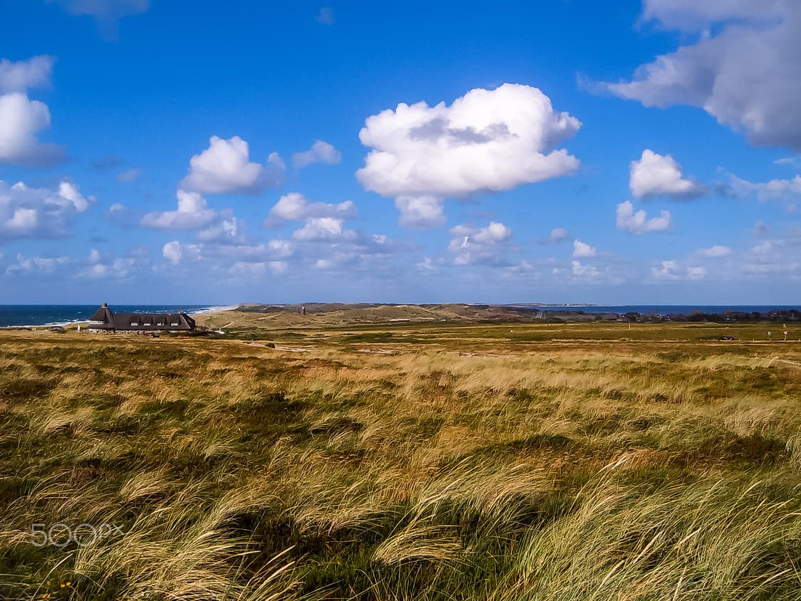작례O 필름 감성 삼성 케녹스 디지맥스 v4 디지털카메라 빈티지 디카 상품이미지3