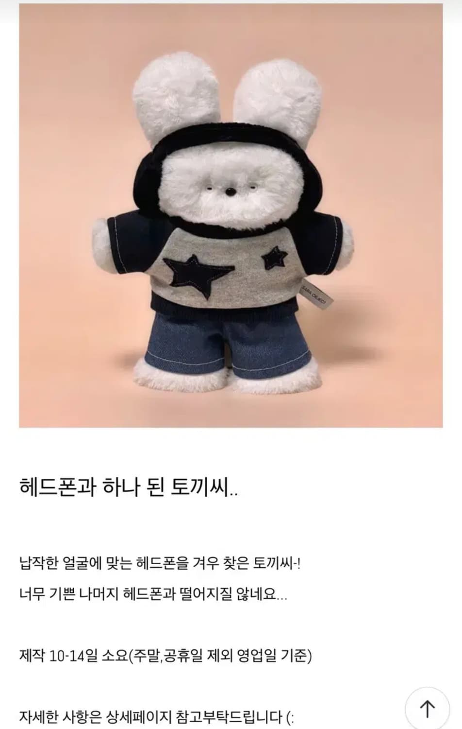 사라오브젝트 인형  상품이미지3