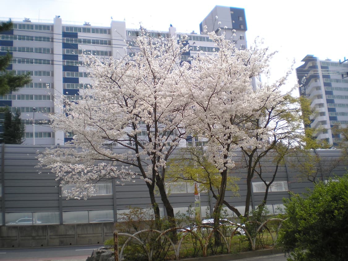 올림푸스 FE-130 디지털카메라 상품이미지8