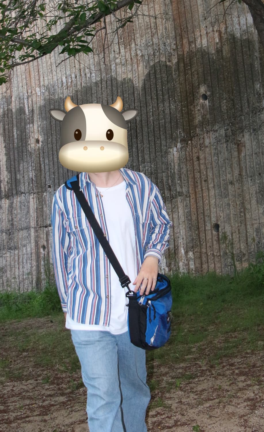 봄 코튼 셔츠 상품이미지1