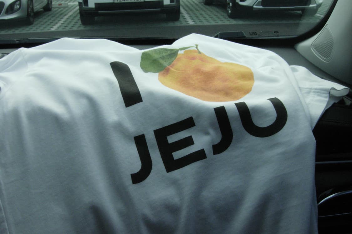 니콘 쿨픽스 p4 빈티지 디카 한글지원 / 작례 있음 상품이미지8