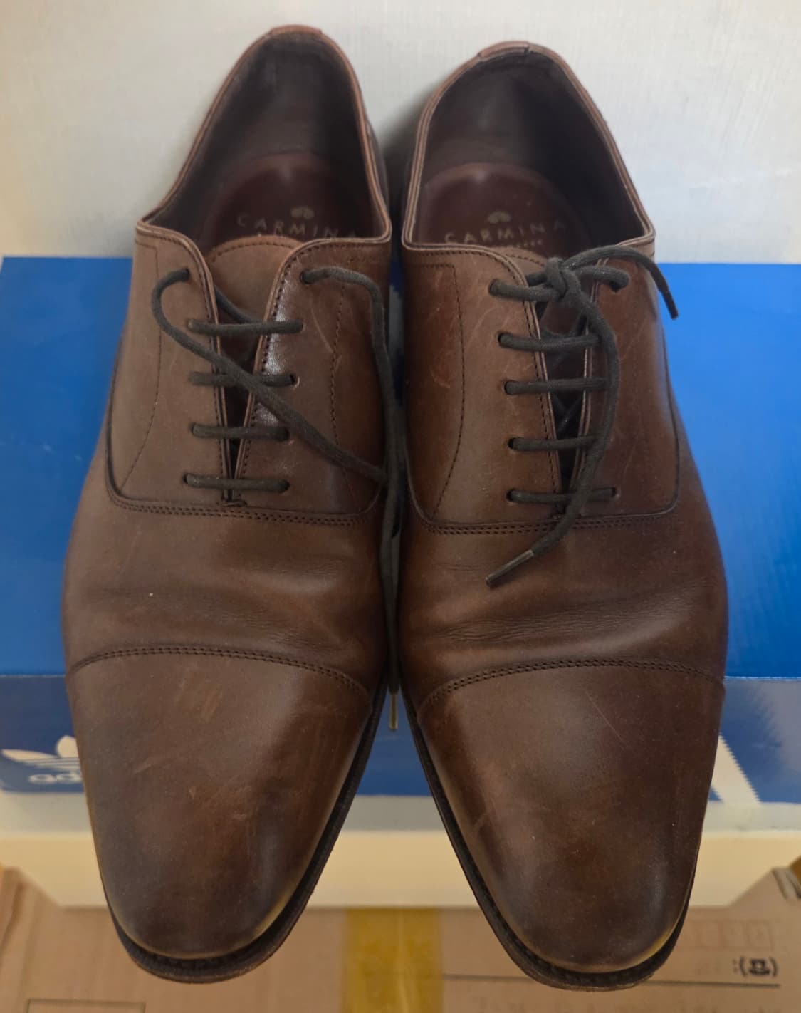 까르미나 10085 마룬 8 상품이미지2