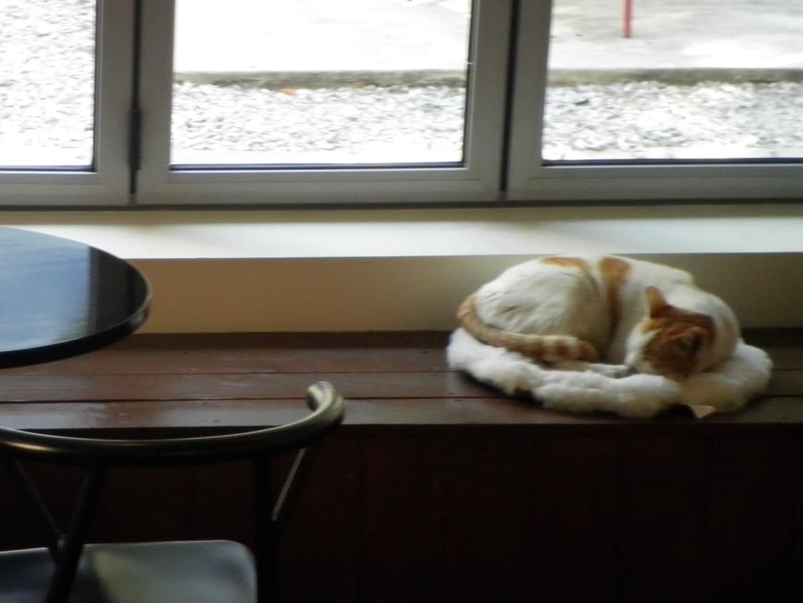 작례O) 산요 Sanyo DSC-X1260 상품이미지6