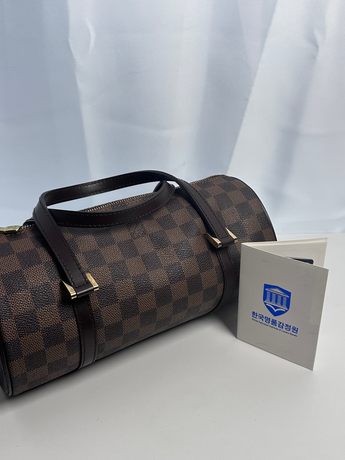 루이비통 다미에 에벤 파피용 파우치 상품이미지1