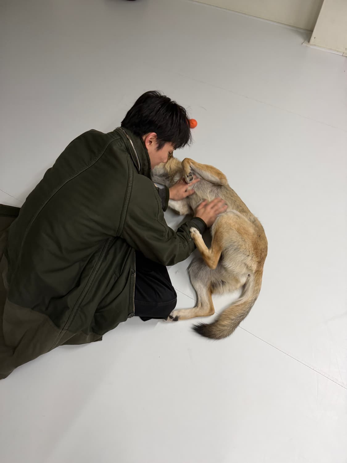 마크제이콥스 밀리터리 퀼팅 코트 상품이미지5