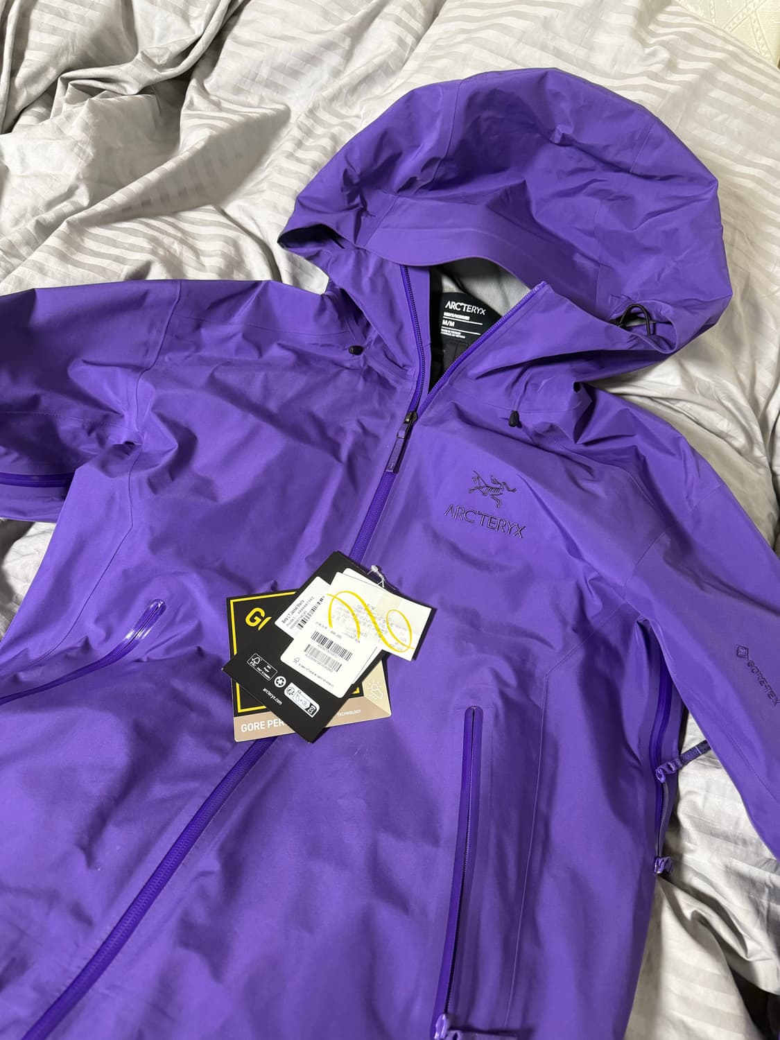 아크테릭스 베타 LT 아이올라 M 상품이미지1