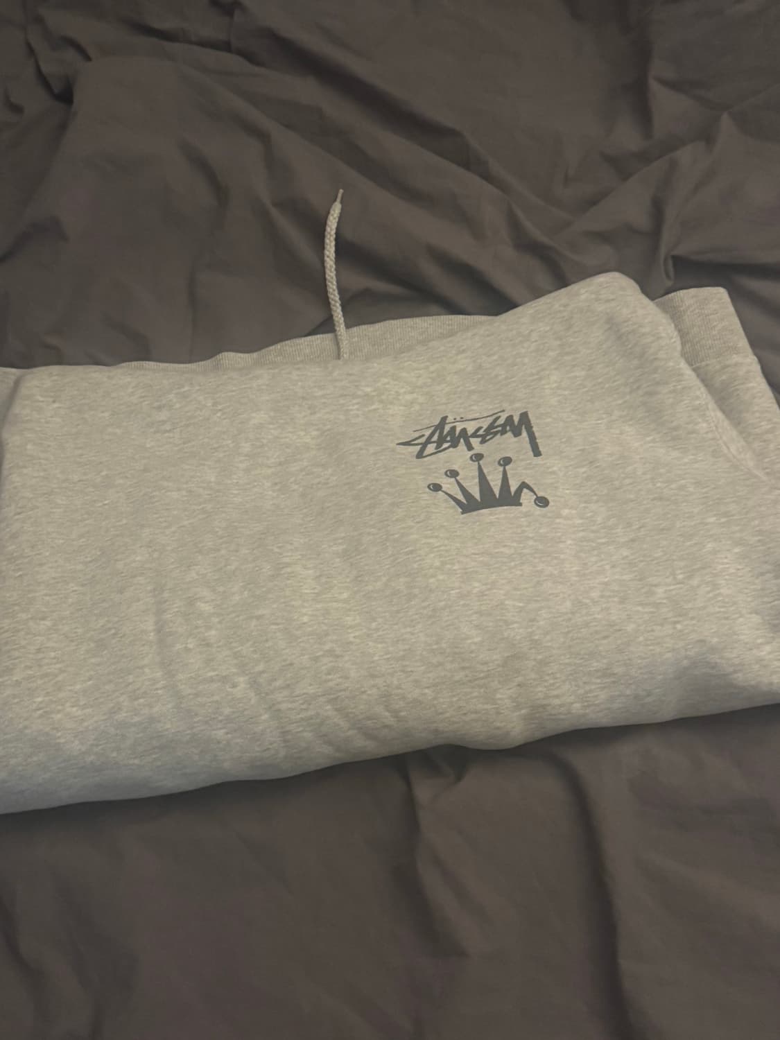 스투시 크라운 후드티 상품이미지5