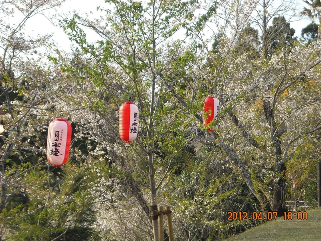 니콘 쿨픽스 Nikon Coolpix L18 실버 상품이미지2