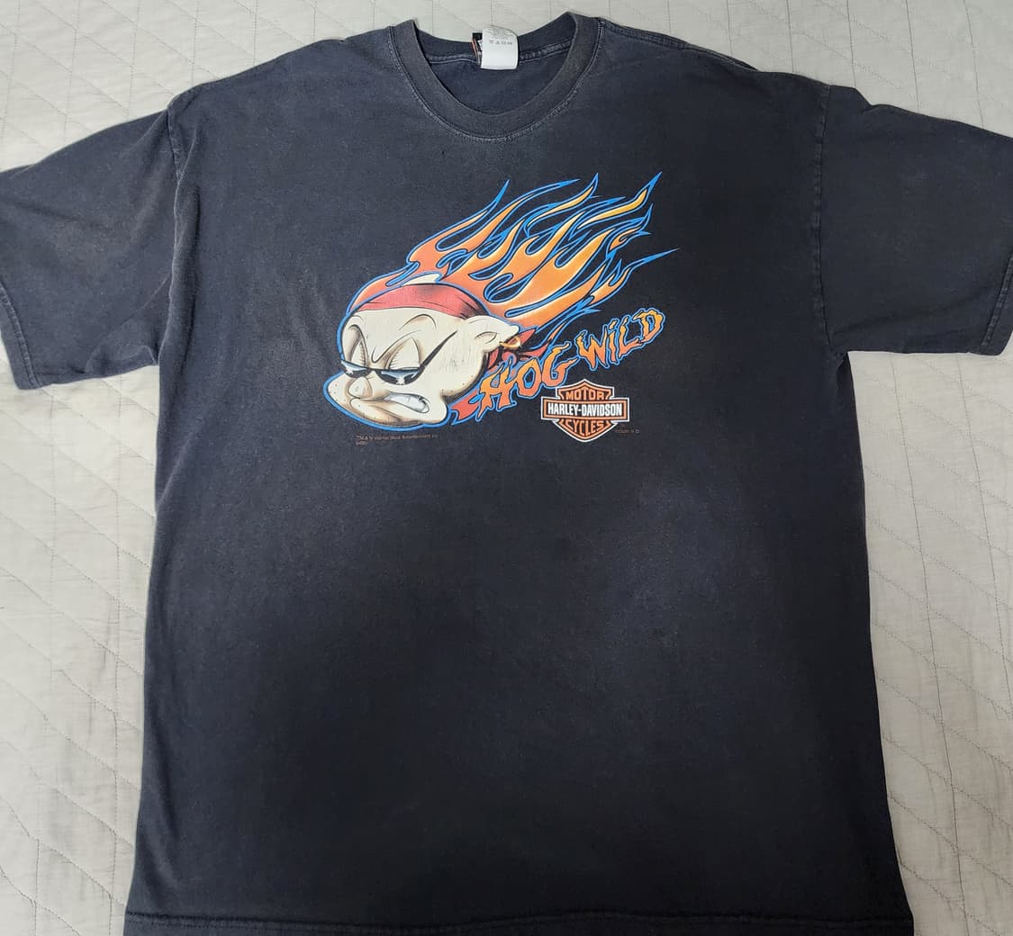 [2XL] 00s 할리데이비슨 루나툰즈 호그 빈티지 티셔츠 상품이미지1