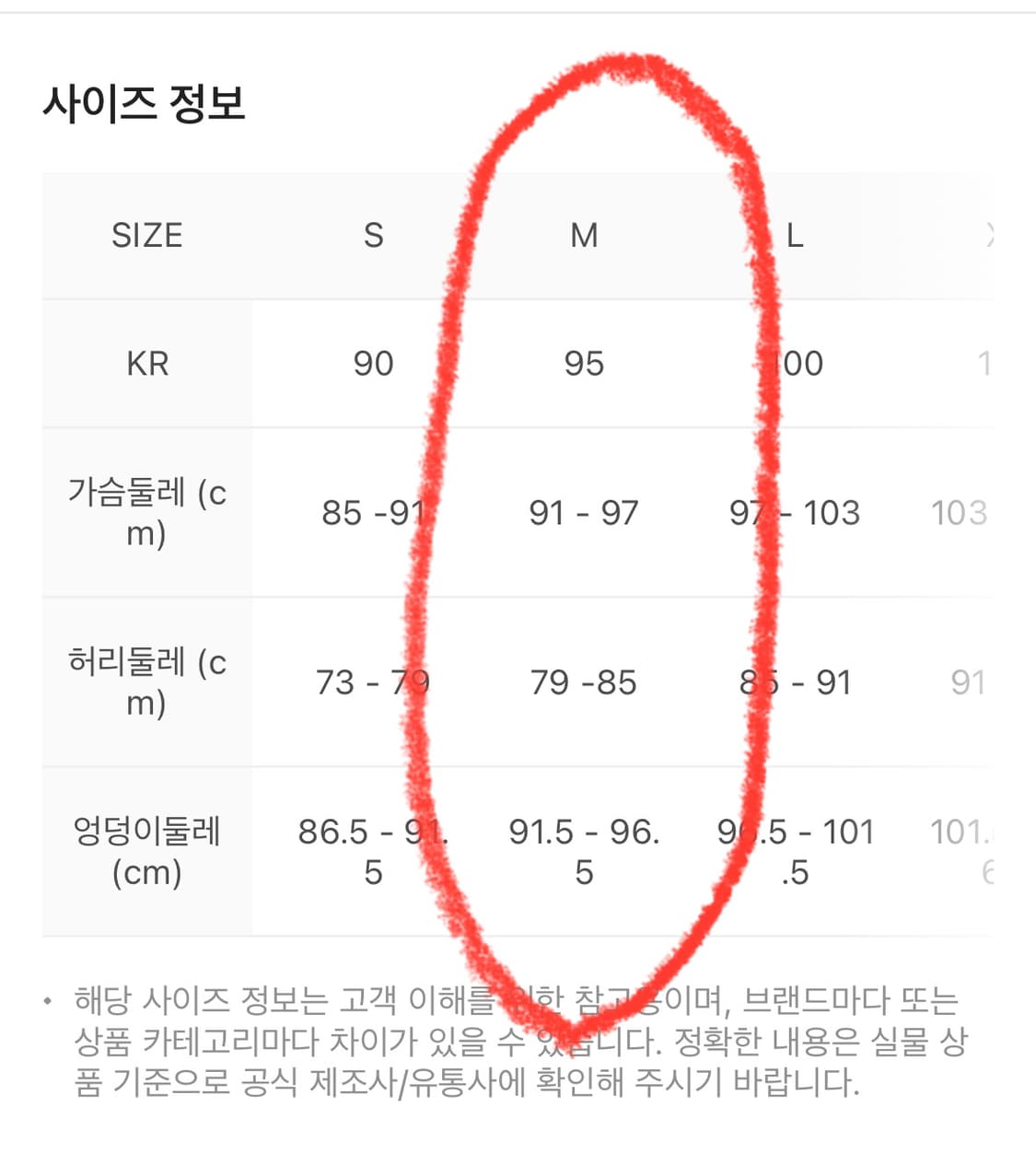 나이키 ACG 스톰핏 자켓 M 포튼더스트 상품이미지10