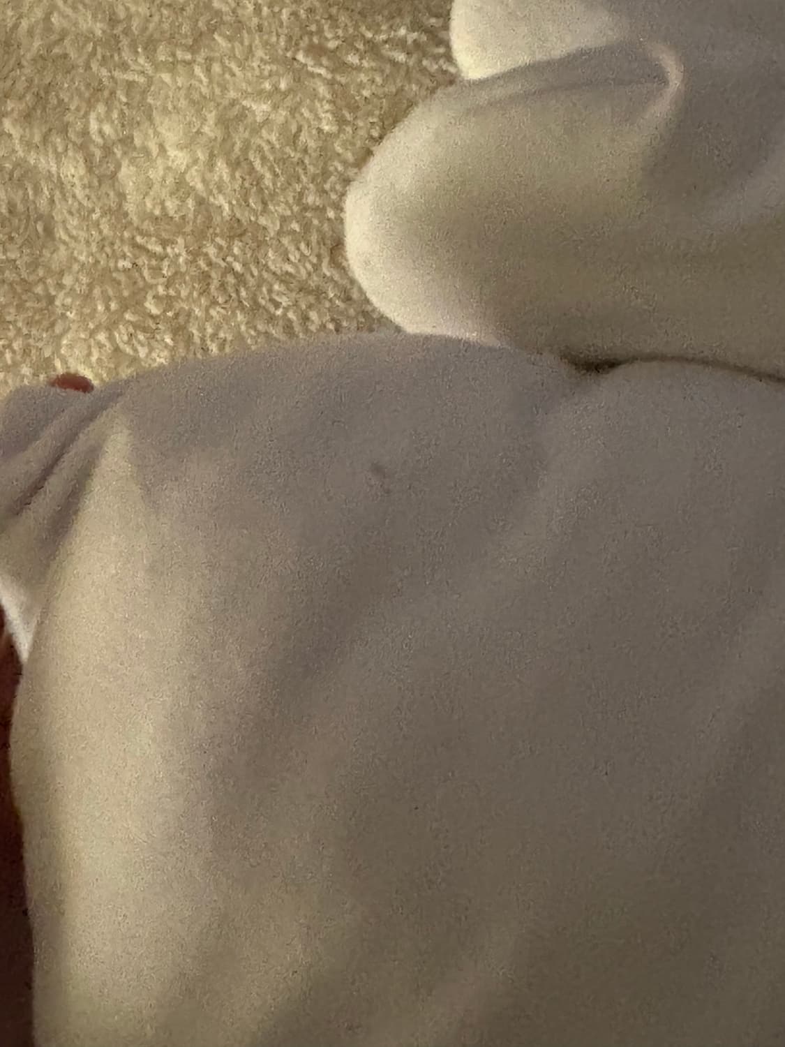 범용토끼 베개  상품이미지4