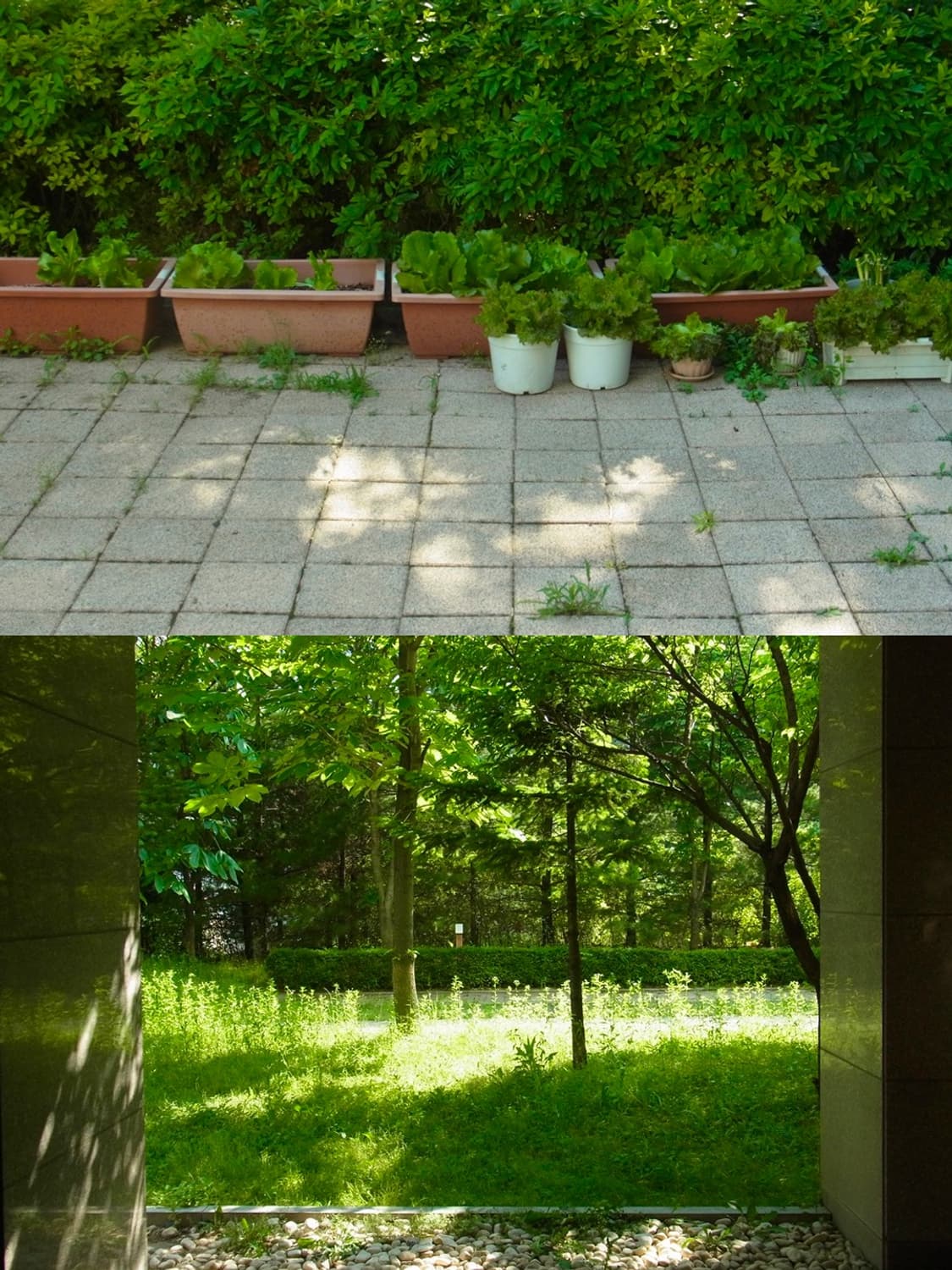 🌙 리코 CX4 🌙 빈티지 디카 상품이미지5