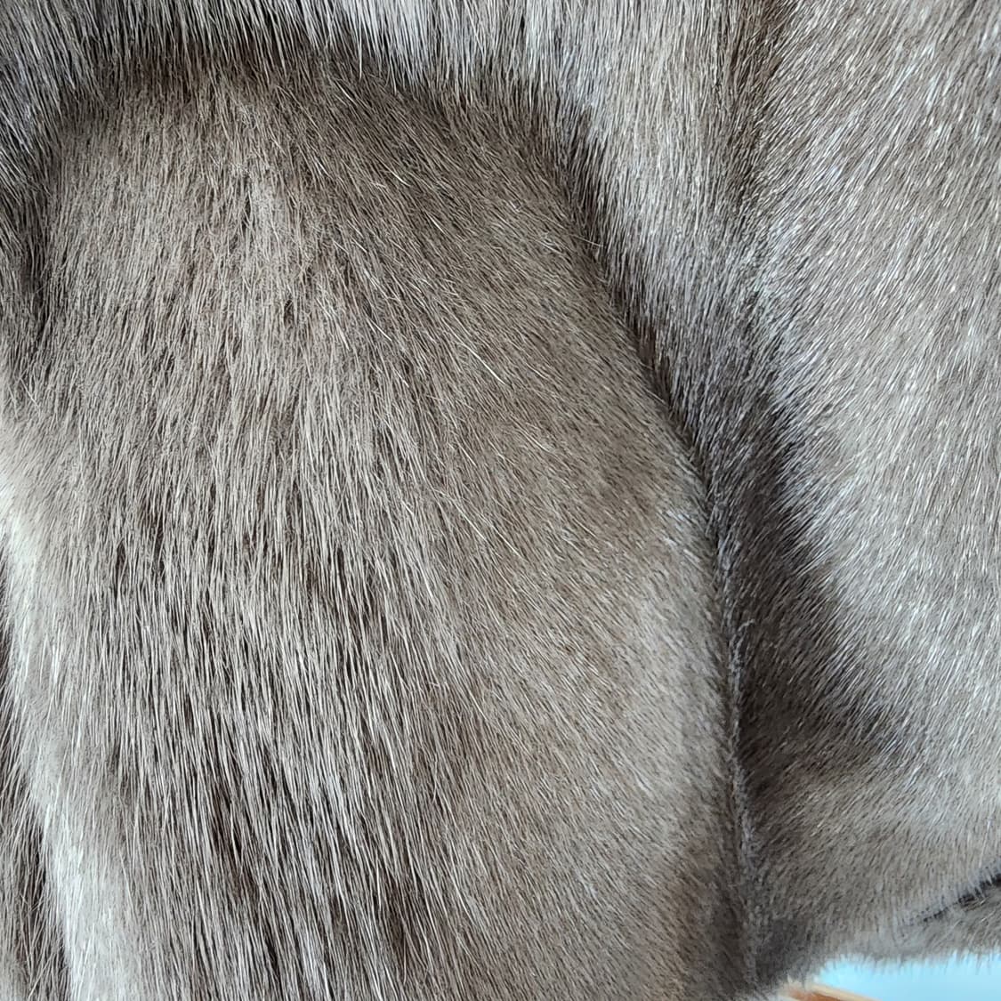 대동 밍크 베스트 조끼 상품이미지9