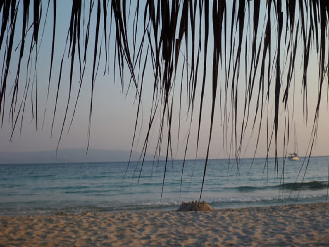 작례⭕️ 파나소닉 루믹스 DMC-FT2 오렌지 디지털카메라 상품이미지8