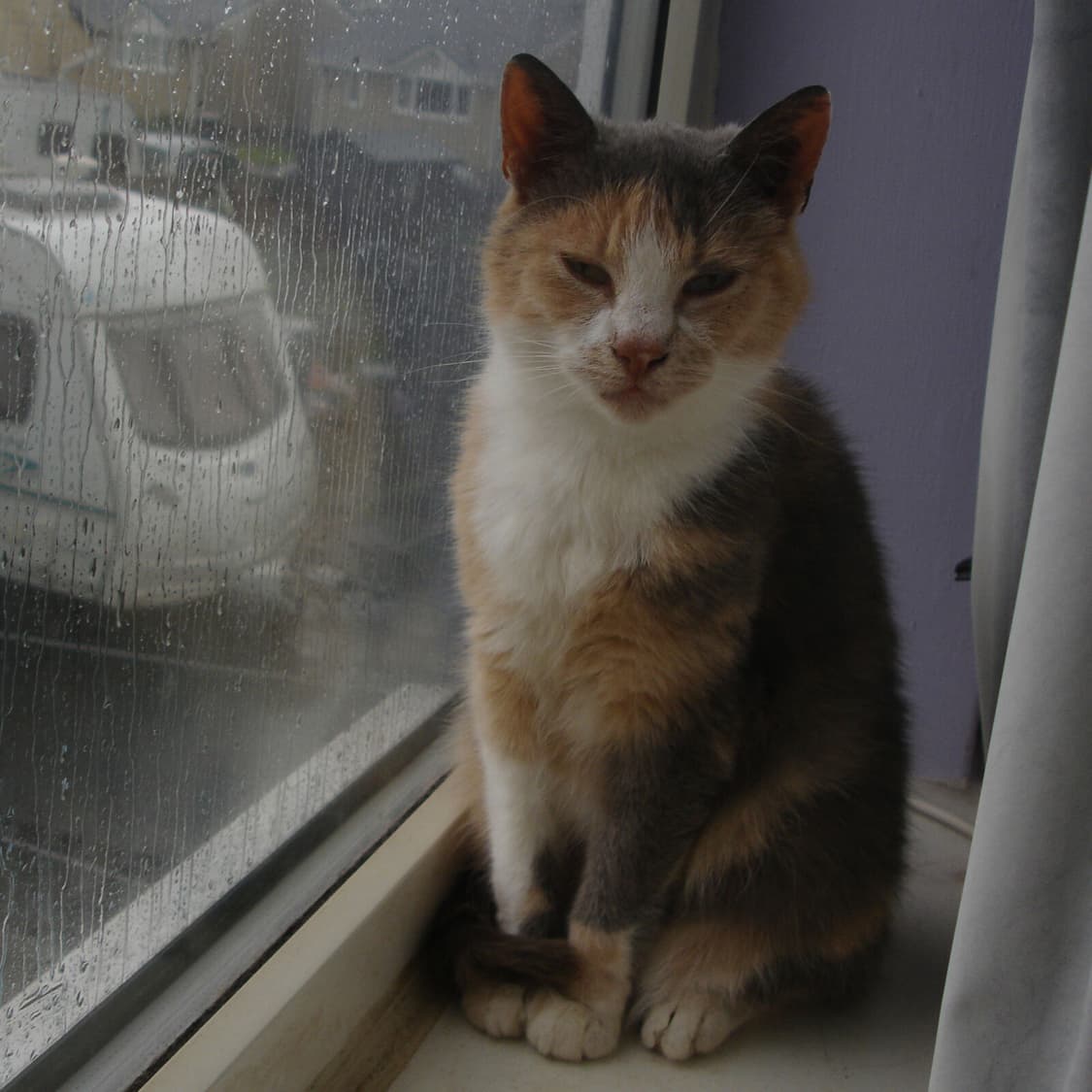 소니 사이버샷 DSC-P200 빈티지 디카 판매합니다 상품이미지9