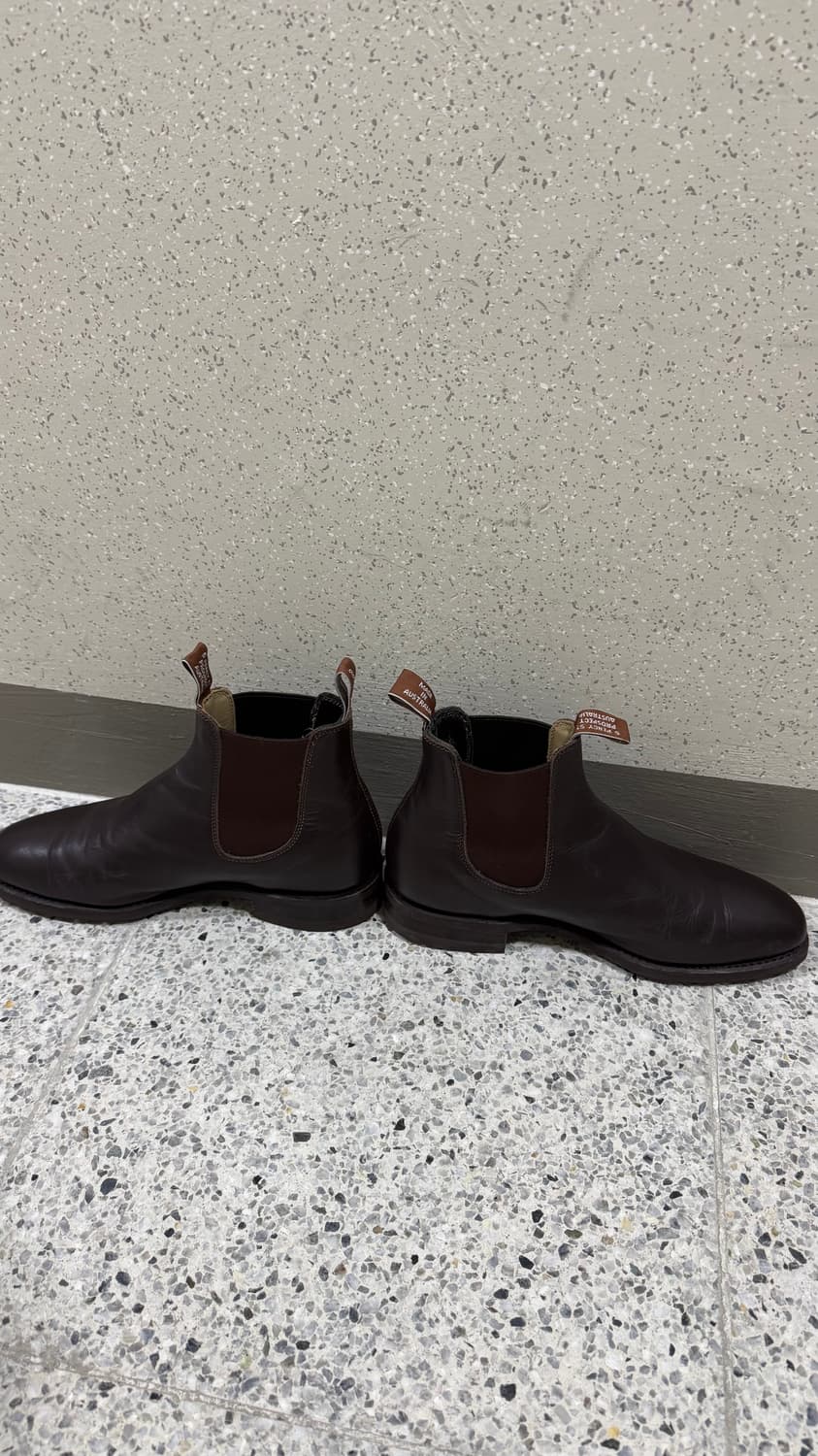 RM WILLIAMS Yearling Chestnut 8G 270 상품이미지2