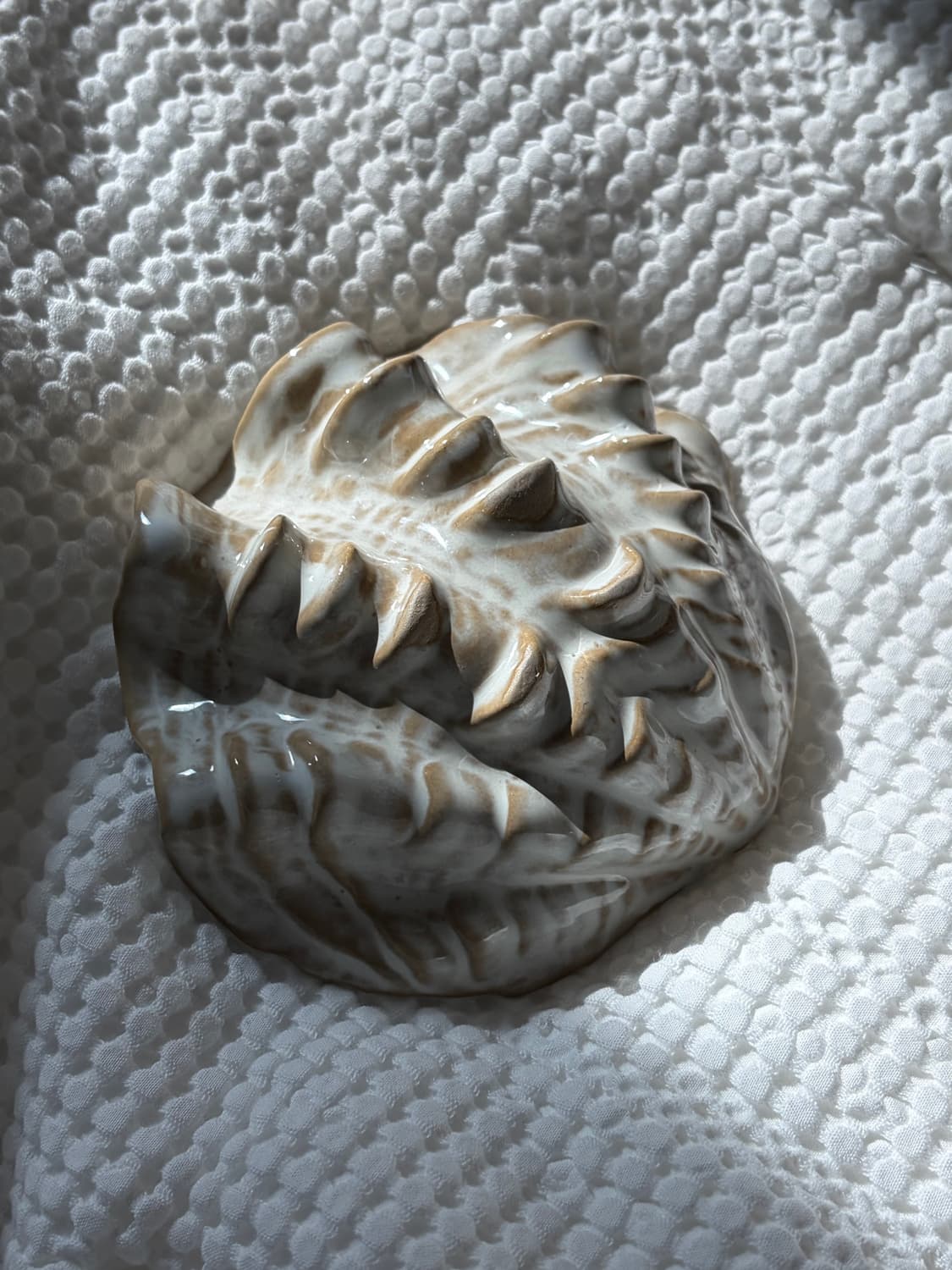 야나칸 조개접시  상품이미지2