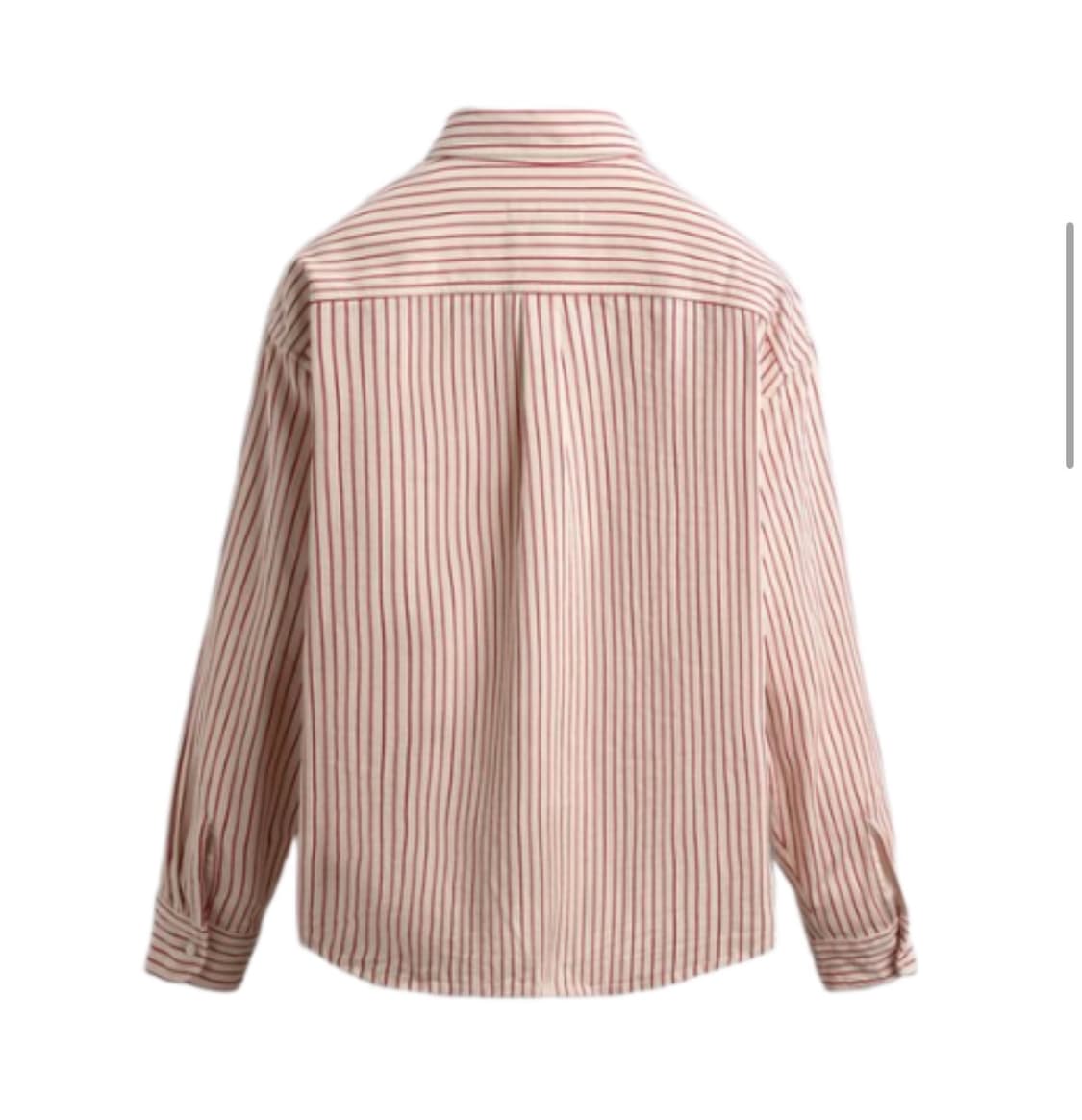 자라x챔피온 스트라이프 셔츠 상품이미지3