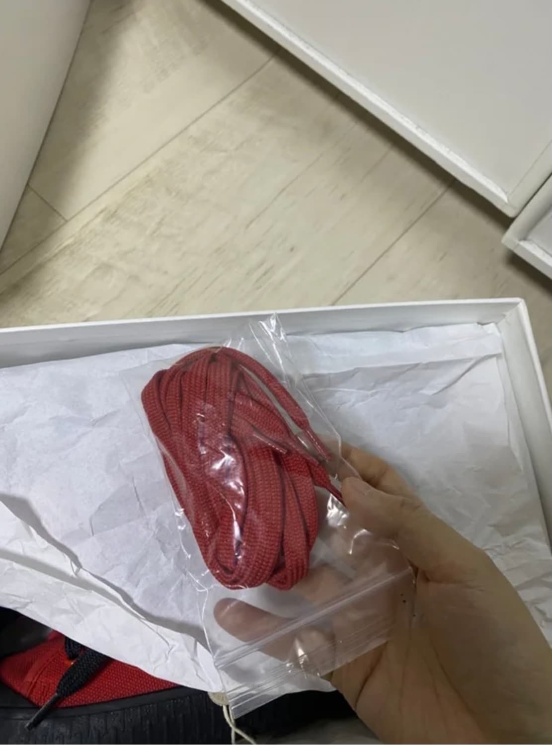 셀린느 스니커즈 상품이미지3