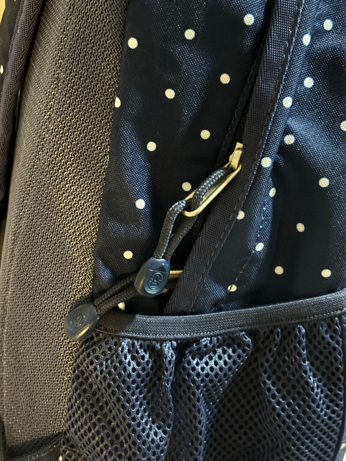 Coleman 콜맨 도트 백팩 상품이미지4