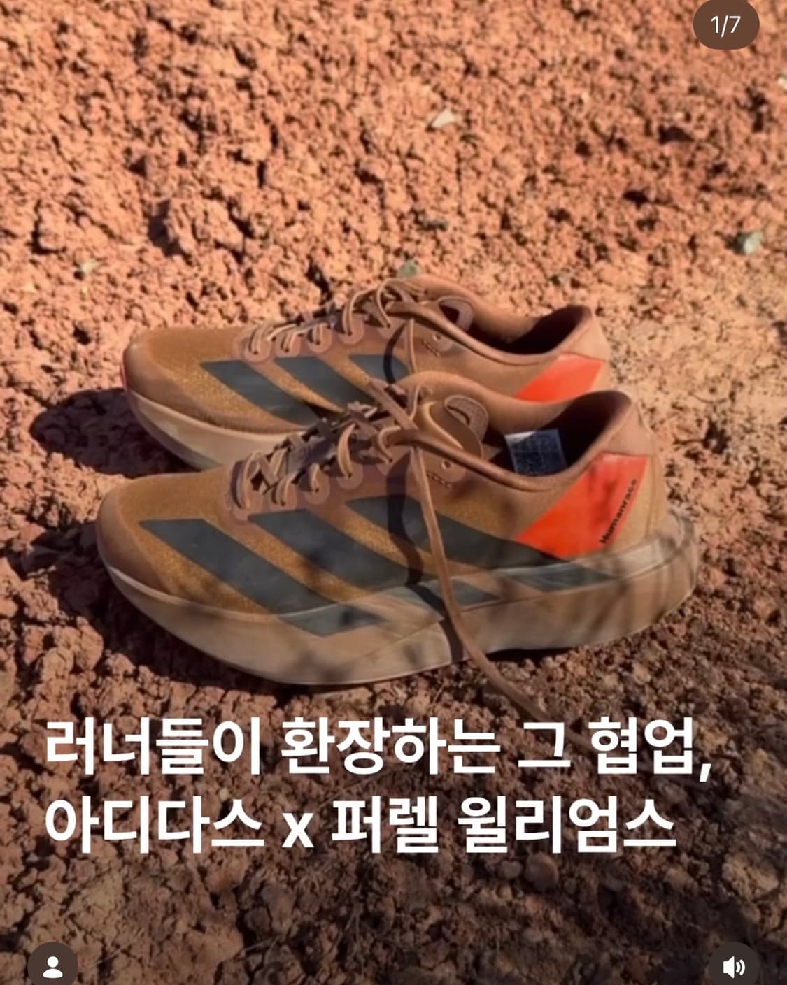 아디다스 퍼렐 윌리엄스 아디제로 EVO SL 260 상품이미지1