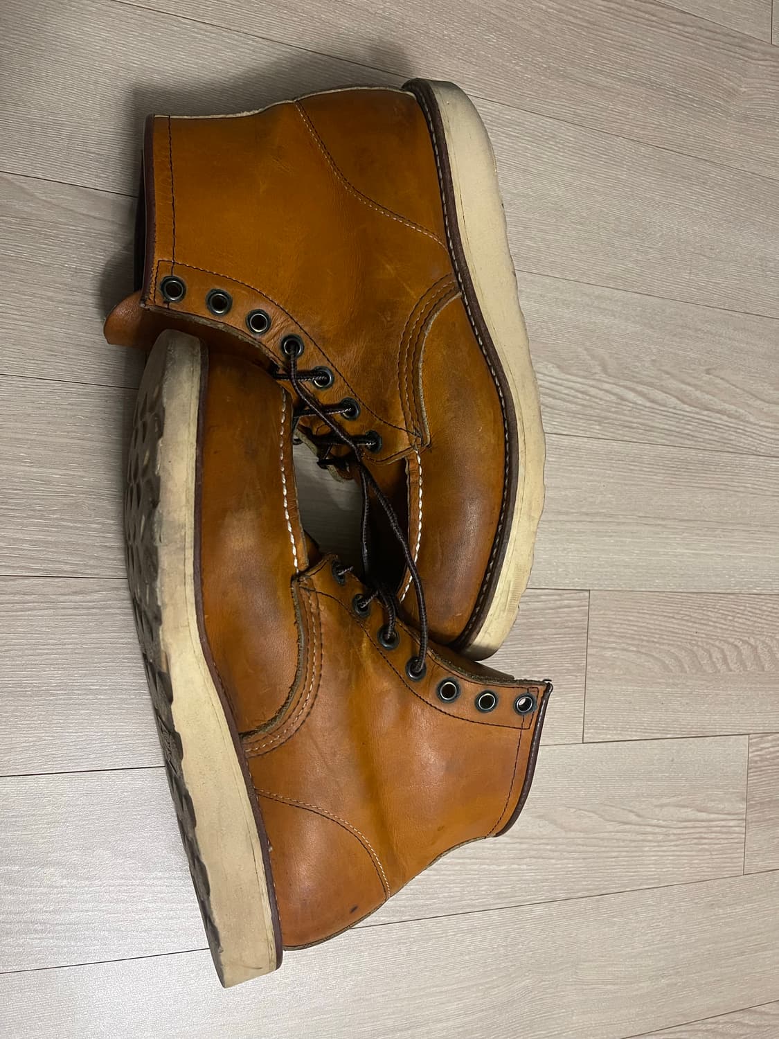 레드윙  상품이미지3