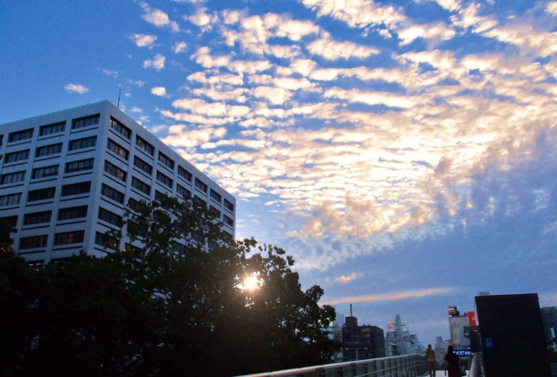 캐논 익서스 Canon IXUS 160 블랙 상품이미지4