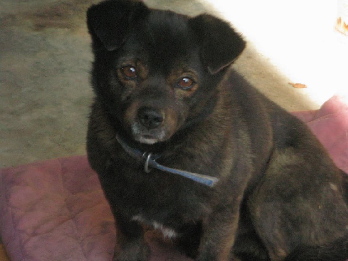 (작례 ㅇ) 캐논 파워샷 g9 상품이미지10