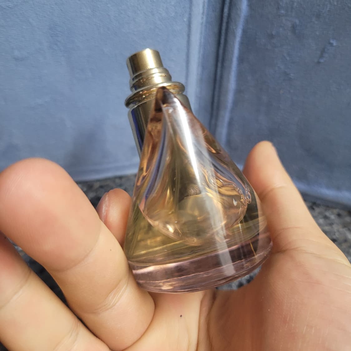 불가리 로즈 에센셜 EDP 50ml 향수 (6) 상품이미지5