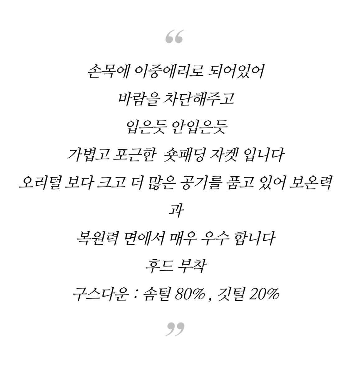 정품 새상품 아이더 이글루 패딩 라이트그레이 XL 상품이미지4