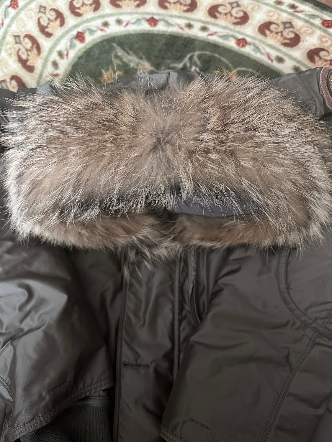 파라점퍼스 마스터피스 M사이즈 상품이미지3