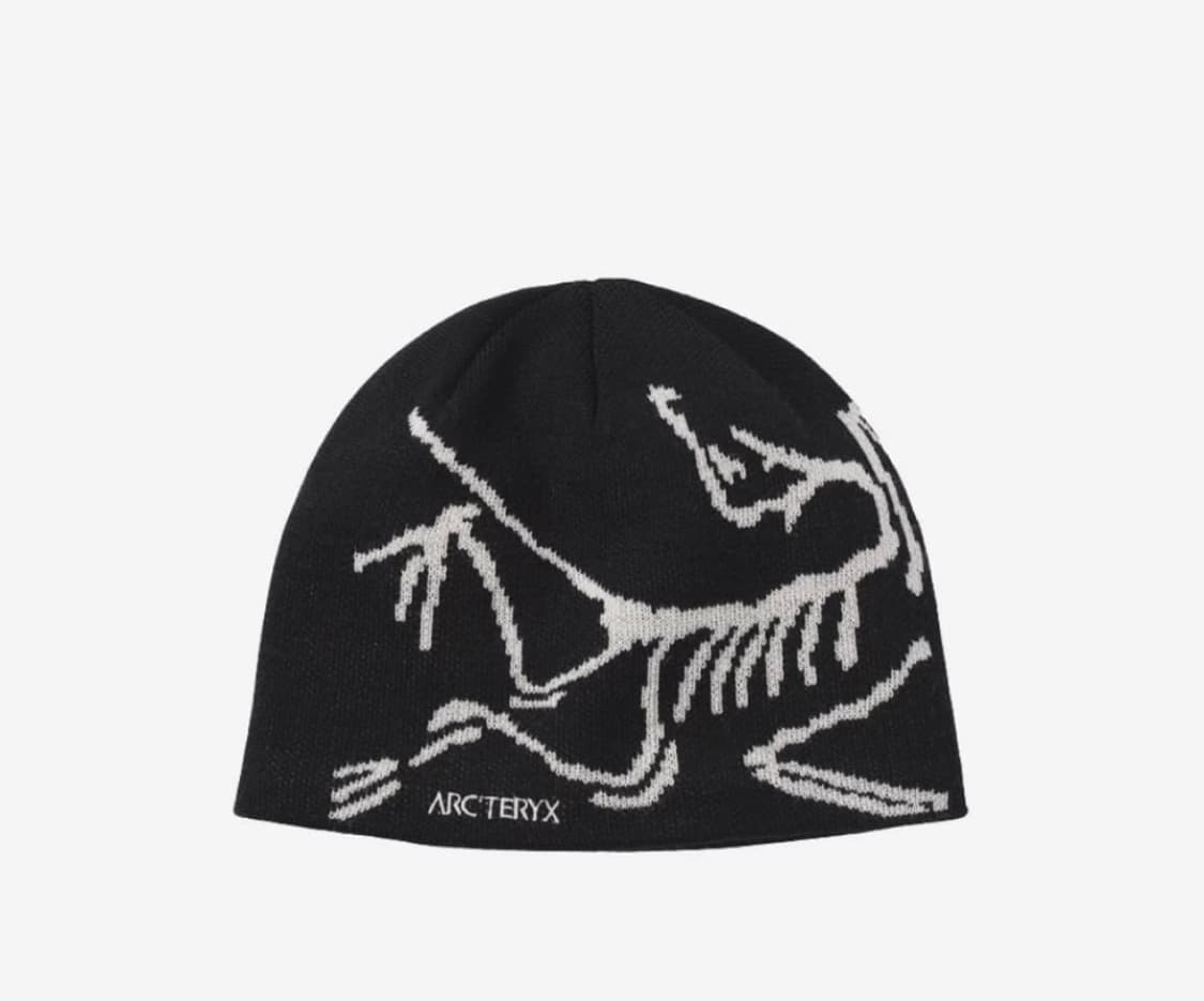 아크테릭스 비니  상품이미지1