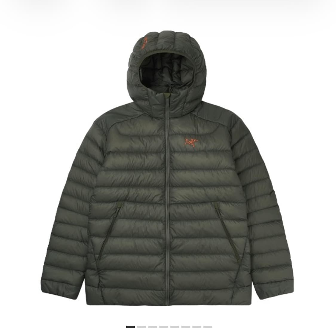 아크테릭스 세륨 후디 포리지 베르베 M 상품이미지1