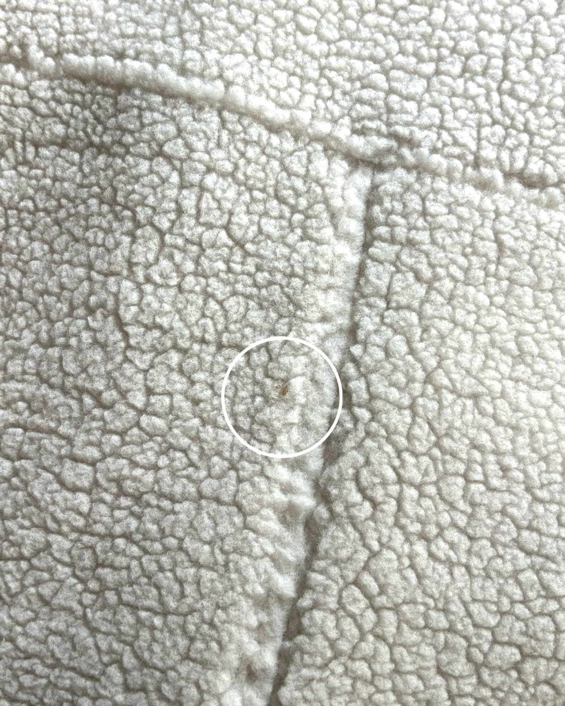 Matin Kim 마뗑킴 테디베어 하프 코트 무스탕 상품이미지10