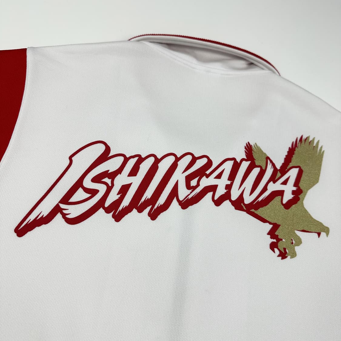 미즈노 재팬 이시카와 트레이닝 트랙탑 져지 (L) 상품이미지6