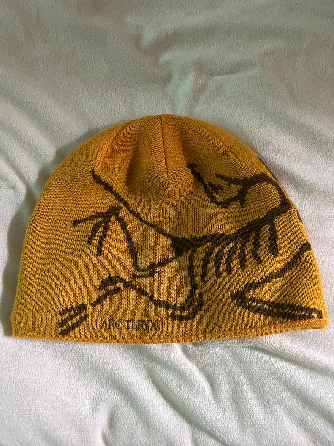 아크테릭스 비니 버드 헤드 토크 엣지자 상품이미지1