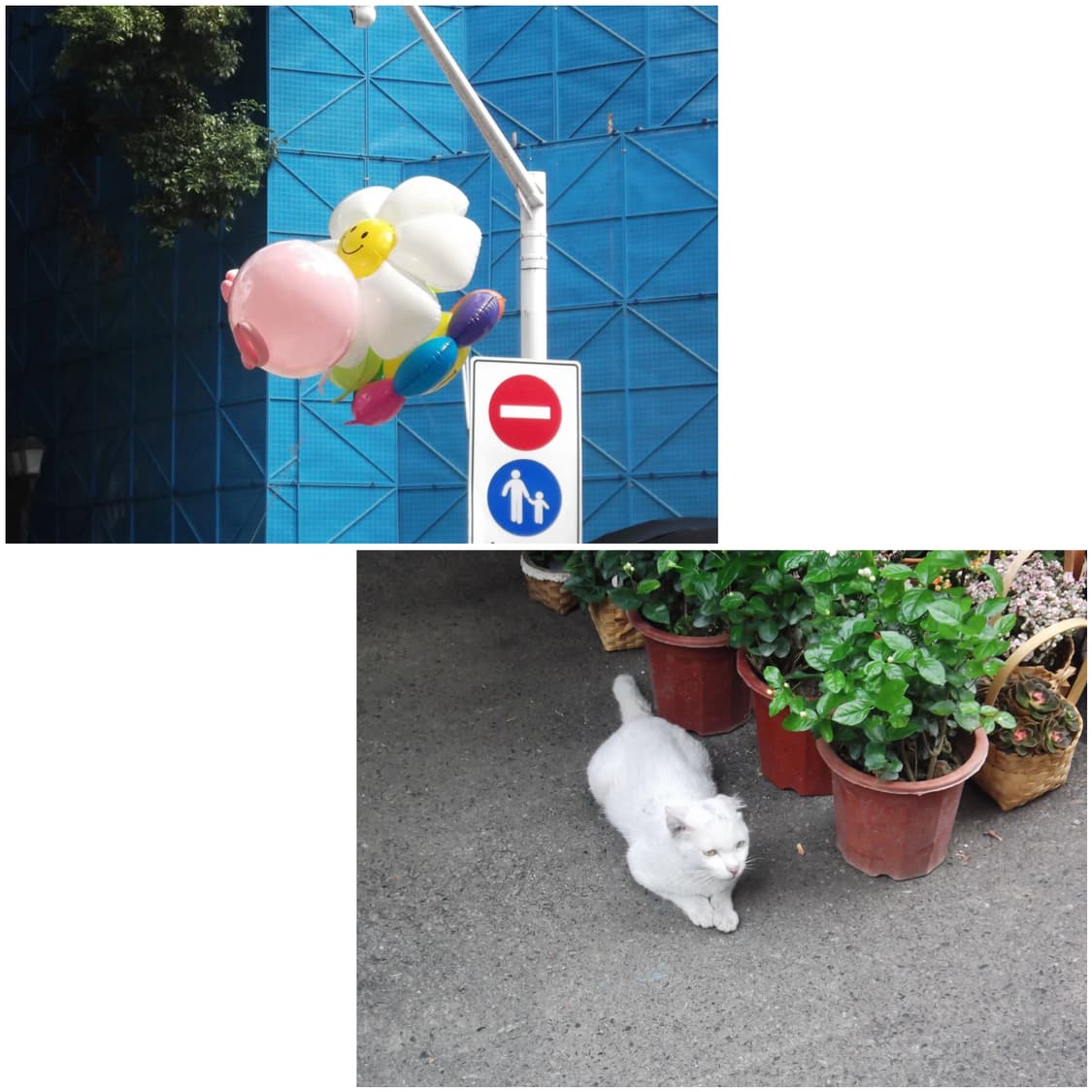 후지필름 파인픽스 JX400 샴페인실버 빈티지디카 상품이미지2