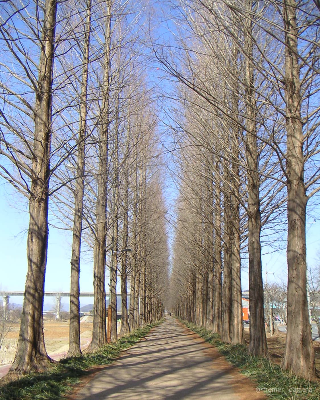 희귀컬러🩵MINOLTA DiMAGE X20 미놀타 디카 카메라 상품이미지6