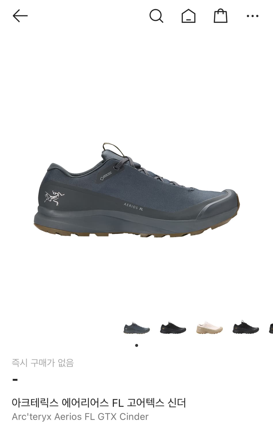 아크테릭스 에어리어스 FL 신더 급처 상품이미지3