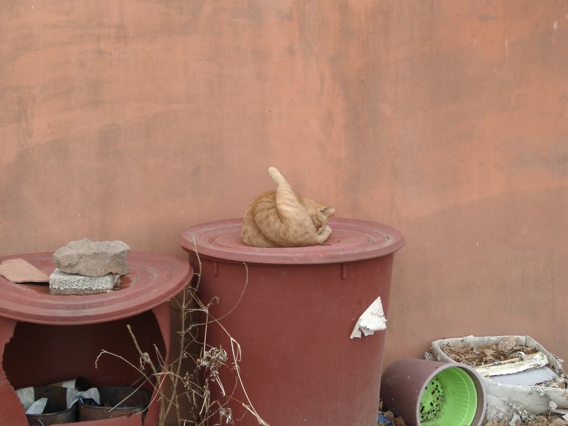 Casio QV-4000 (카시오 QV-4000) 상품이미지5