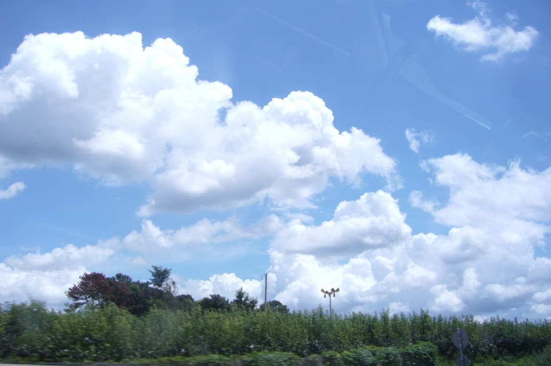 파나소닉 루믹스 DMC FX3 (작례있음) 상품이미지9