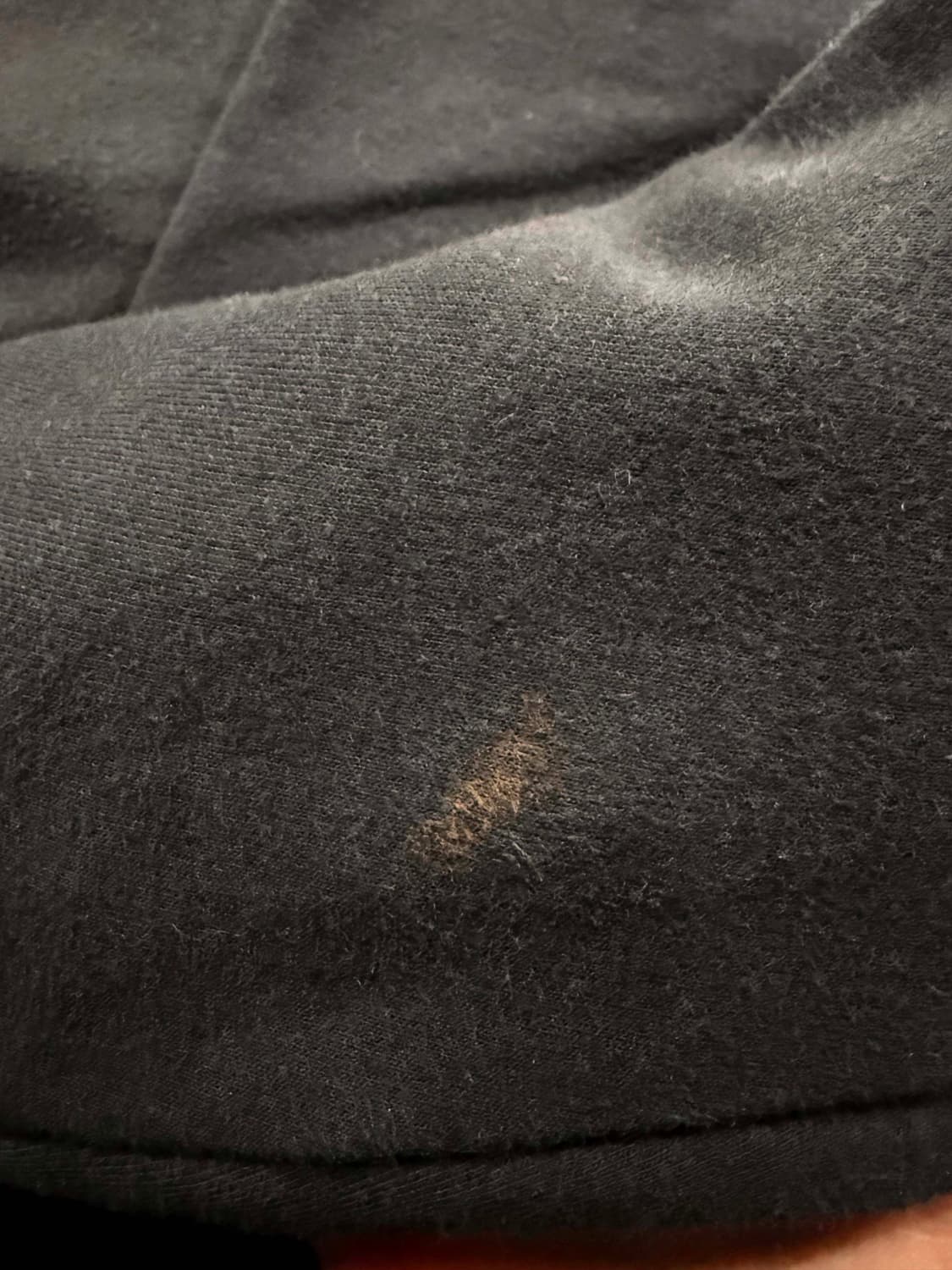 네셔널지오그래픽 오버핏 오리지널 로고 맨투맨 블랙 컬러 상품이미지4